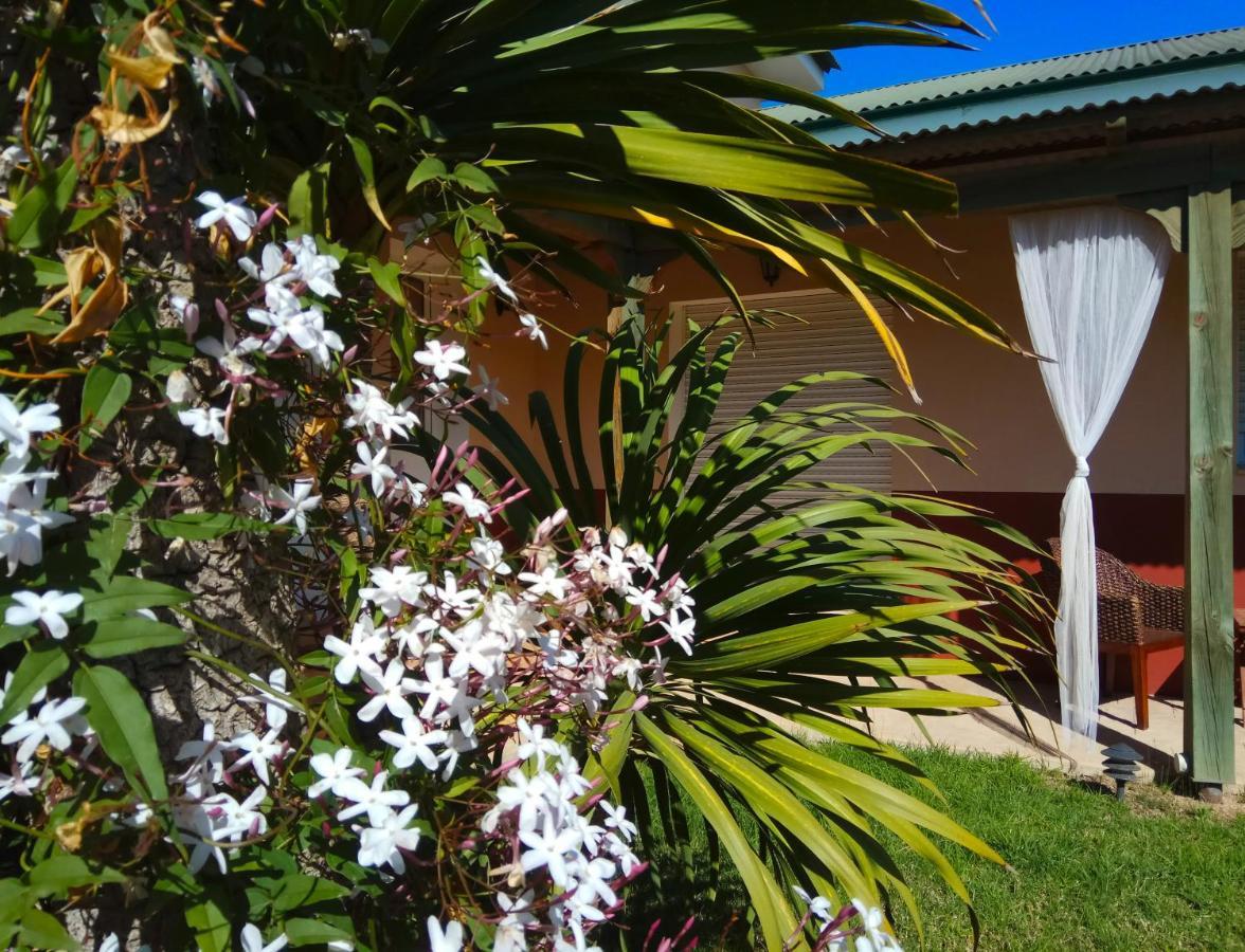 Casablanca El Petit Hotel เดลแตเบรอ ภายนอก รูปภาพ